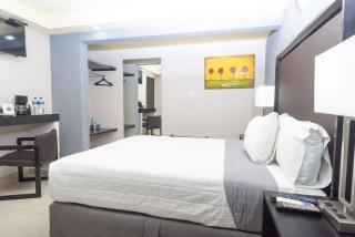 Hotel Ha - Orizaba - 6