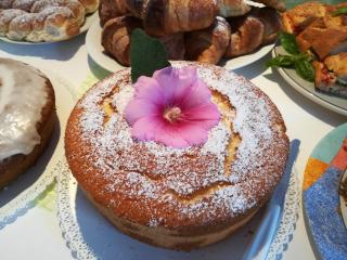 B&B La Chiocciola - Castelluzzo - 9