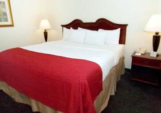 Clarion Inn & Suites Dothan South - Dothan - 3