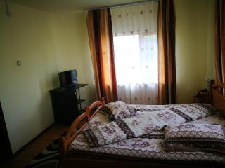 Pensiunea Ramona - 1