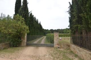 Molí d'en Tarrés - Santa Cristina d'Aro - 7