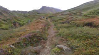 Guesthouse Gimbur - 1