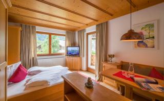 Landhaus Gasser - Mayrhofen - 1