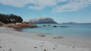 Sardegna casa al mare San Teodoro Vaccileddi Porto San Paolo - Porto San Paolo - 6