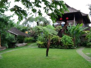 Bali Mountain Retreat - Selemadeg - 0