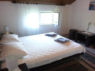 Apartman Grozda - Seget Vranjica - 2