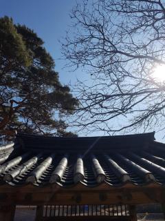Jukheon Traditional House - Andong - 2