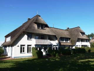 Landhaus am Haff_ Wohnung B 8 - Stolpe auf Usedom - 9