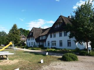 Landhaus am Haff_ Wohnung B 8 - Stolpe auf Usedom - 7