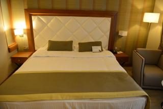Adana Plaza Hotel - Adana - 9