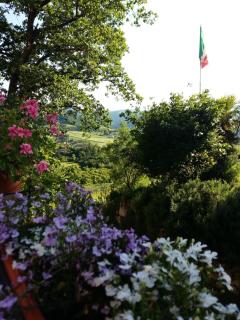Nido D'Ape bed and breakfast - Montepetra - 2
