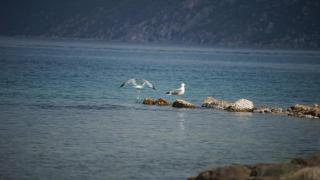 Belvedere Suites Korfos - Korfos - 3