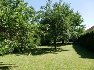 Au gre des chateaux - Goxwiller - 9