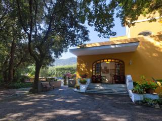 Hotel Cleopatra - Ischia - 2