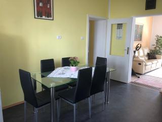 Apartma Mahnič - Postojna - 1