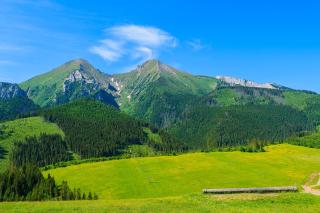 Pod Hawraniem Ski & Bike Friendly - Jurgów - 9