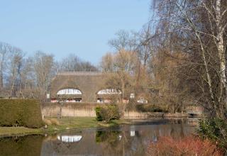 Landhaus am Teich - Middelhagen - 3