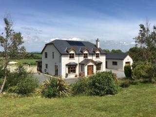 Tobernaglough Wexford pet friendly country b&b - Ramsgrange - 0