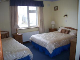 Seashore Lodge Guesthouse - Galway - 7