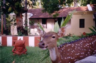 Indeco Hotels Swamimalai - 5