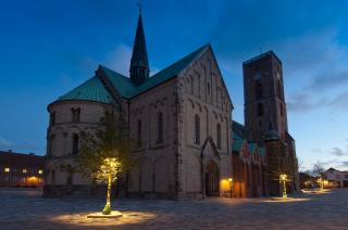 Hotel Dagmar - Ribe - 6