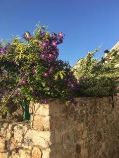 Apartment Stari Murter - Murter - 7