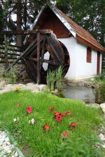 Pensiunea Deceneu - Slănic - 6