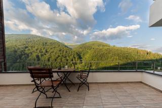 Apartament Carol Sinaia - Sinaia - 8