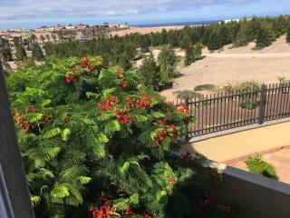 Vivienda Las Velas - Maspalomas - 4