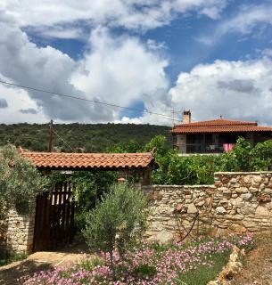 Pontinos Villa - Myloi - 5