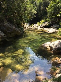 La Vençoise - Vence - 2