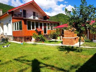Vila di Pau - Băile Herculane - 7