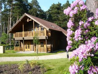 The Dorset Resort - East Stoke - 0