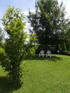 B&B Terra del Sole - Valmontone - 6