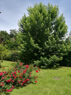 B&B Terra del Sole - Valmontone - 7