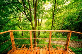 Treehouse pod Jestedem - 5