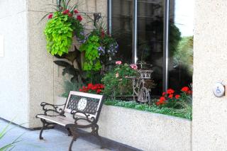 Best Western Voyageur Place Hotel - Newmarket - 7