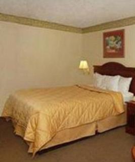 Quality Inn McDonough Atlanta South - 5