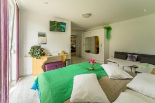 Aparthotel Pr' Jakapč' - Mojstrana - 6