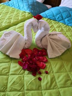 Yiannis Apartments - Mastihari - 5