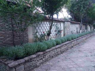RARE house with garden - Tbilisi - 7