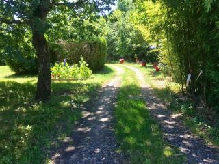 Gîte climatisé de La Haute Rue - Touvois - 4