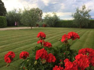 La casina del Poggio - Ponticino - 2