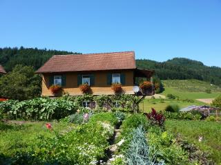 Ferienhaus Eck - Unterharmersbach - 4