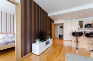 Flat at the Danube with wellness - Budapest - 7