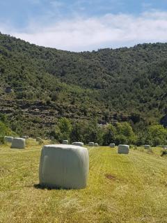 Casa "La Huerta" DE RODA DE ISABENA - 4