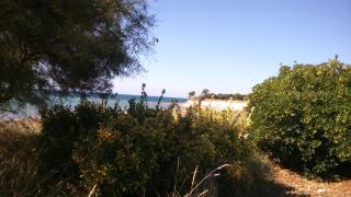 Portes de la Rochelle - 9