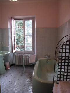 Chambres d'Hôtes Closerie du Guilhat - Salies-de-Béarn - 1