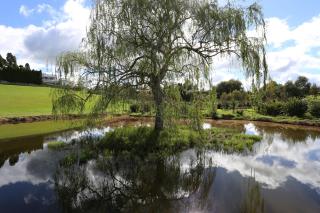 Maungakawa Villa - 4