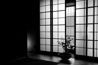 Wuz Kamogawa - Kyōto - 9